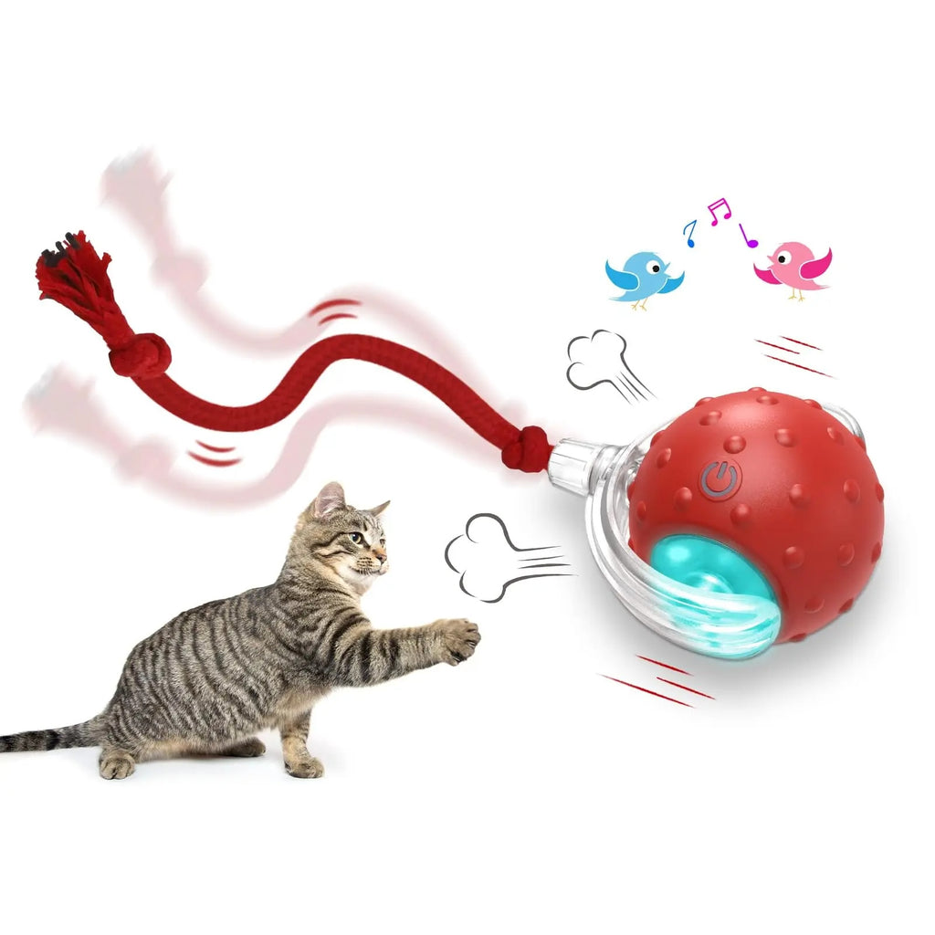 Interactive Smart Cat Toy Ball with Chirping Sound & Motion Sensor – Automatic Rolling Teaser Toy for Active Cats